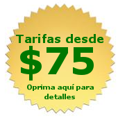 gold_seal_75_spanish.png